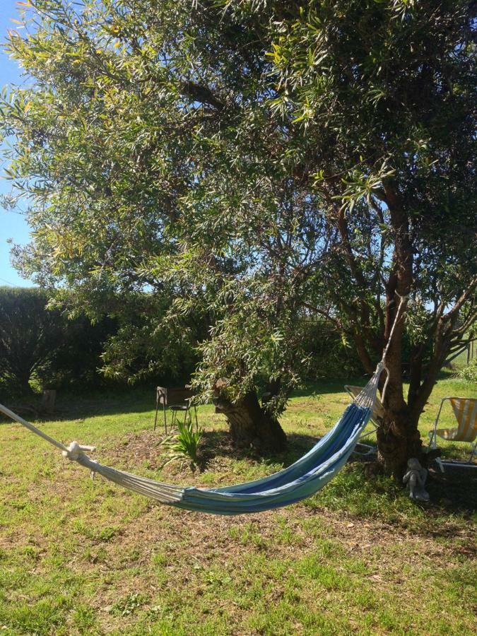 Bed and Breakfast Quintinha Mojud Rogil Exterior foto