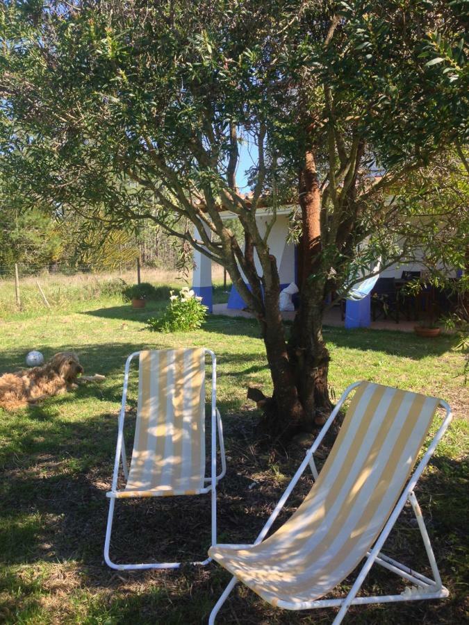 Bed and Breakfast Quintinha Mojud Rogil Exterior foto